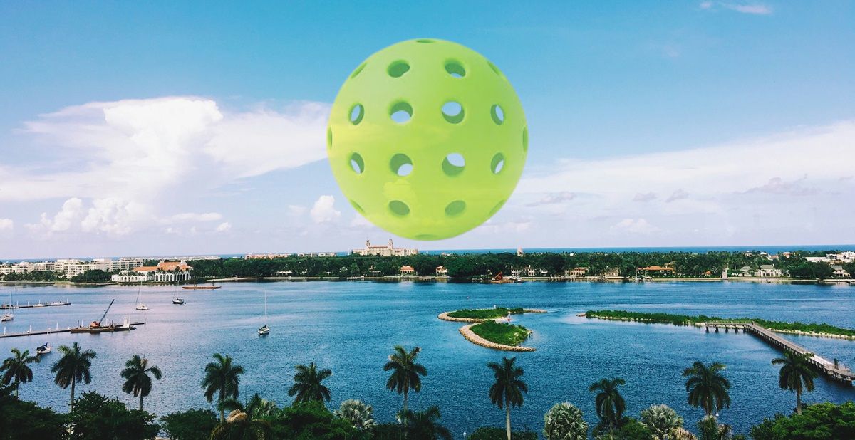 A panoramic image of a scene from the South Atlantic US region paired with a pickleball