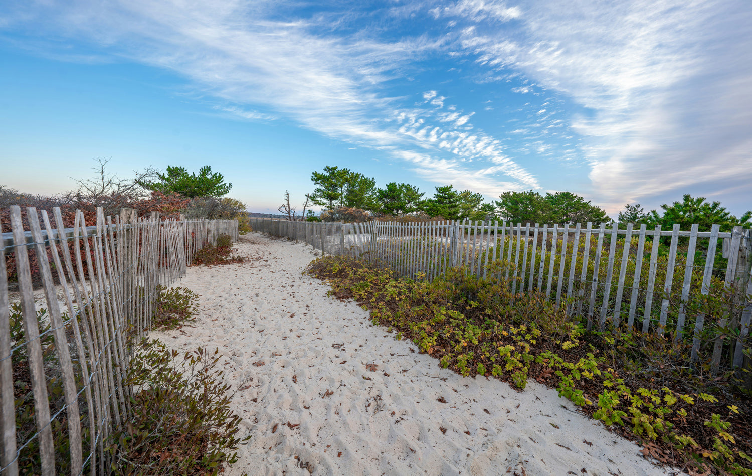 A beach on Nantucket