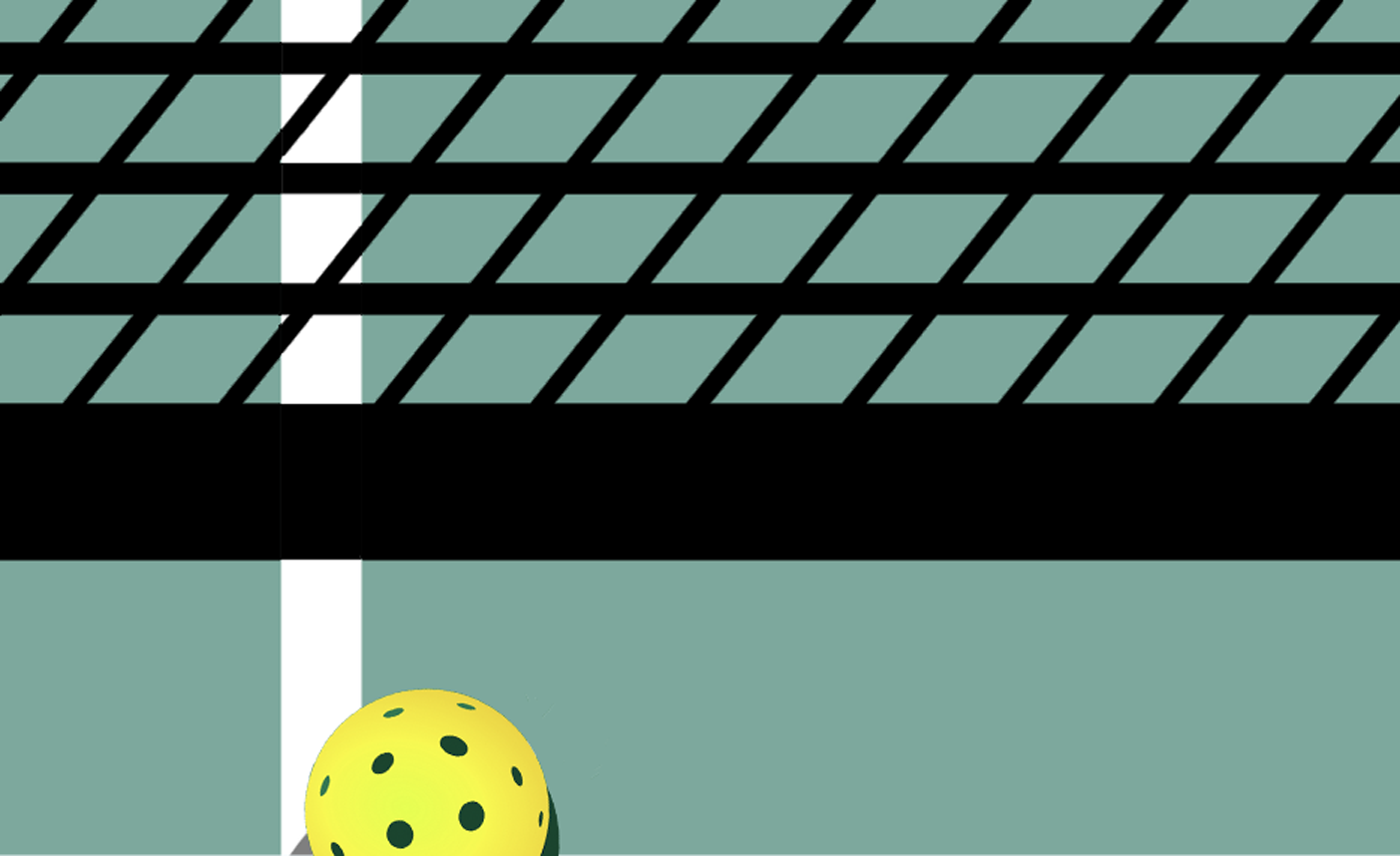 Pickleball net graphic