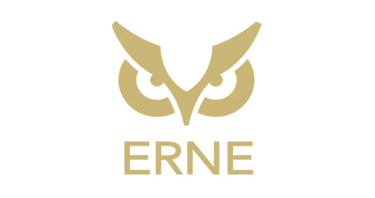 ERNE logo