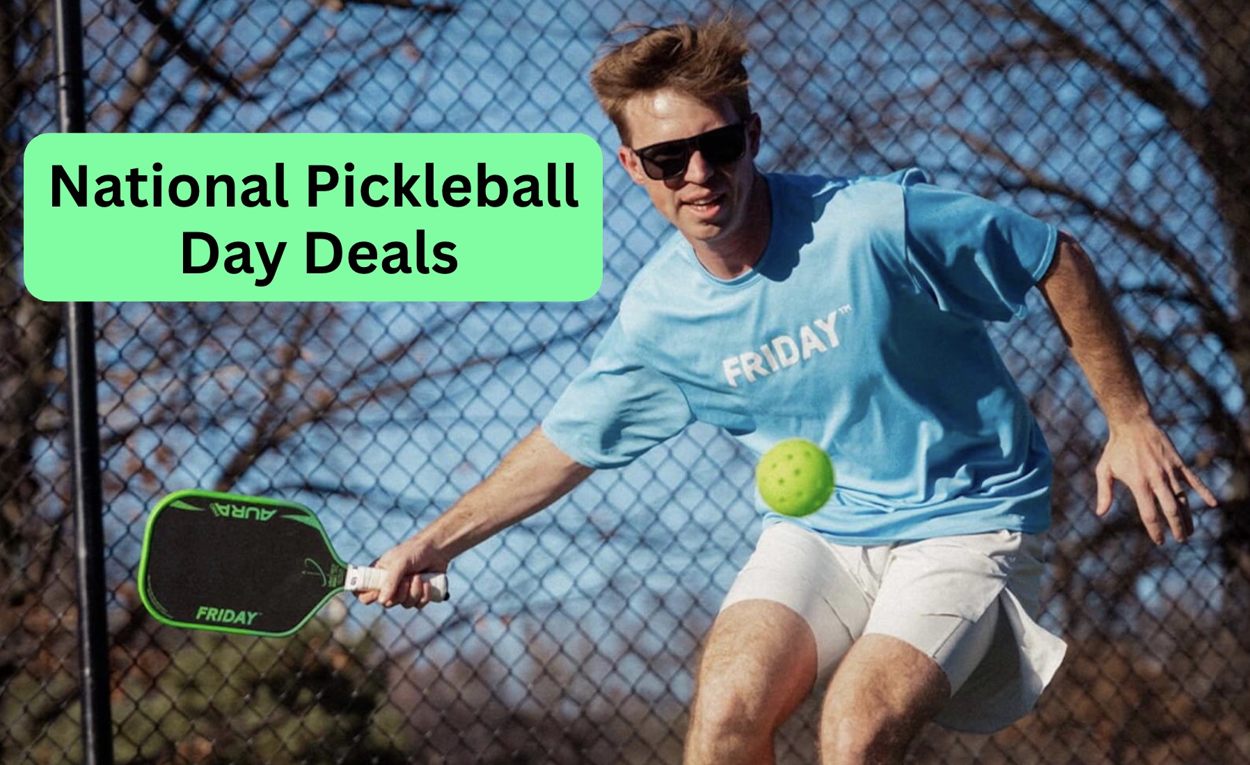 National Pickleball Day Deals graphic.