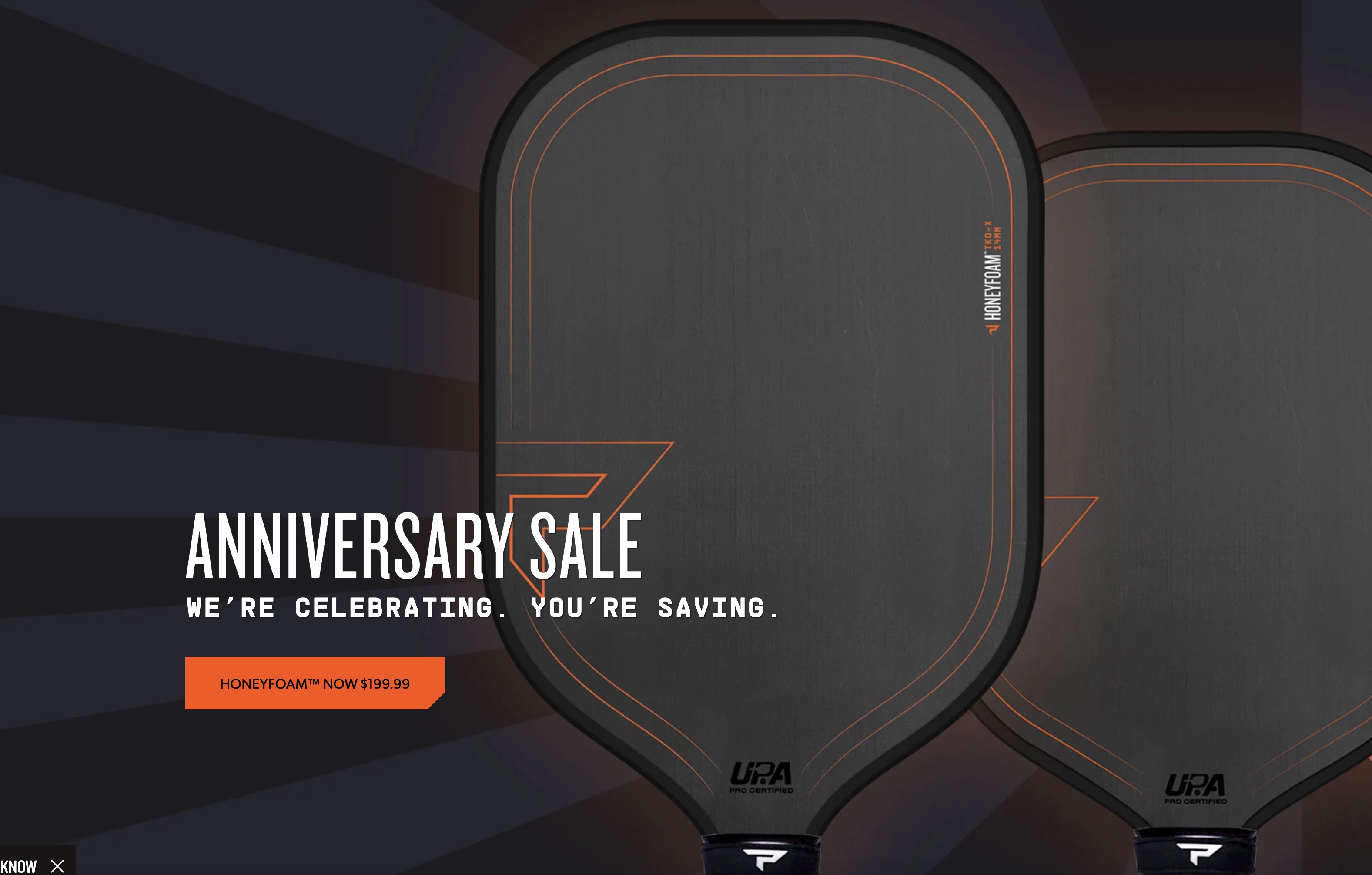 Paddletek Pickleball anniversary sale promo image.